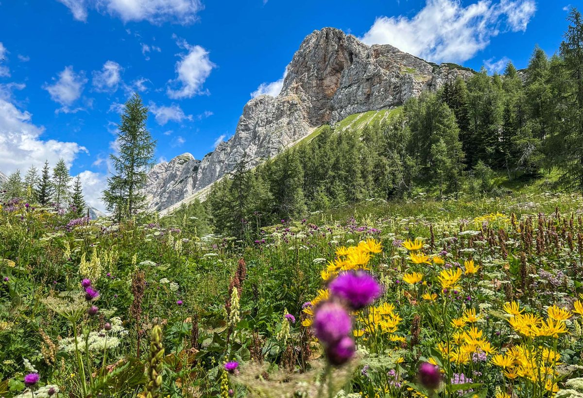 Hiking tour - Slovenia Alps